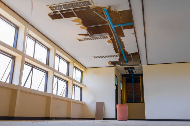  Clarendon Hls, IL Water damage restoration Pros