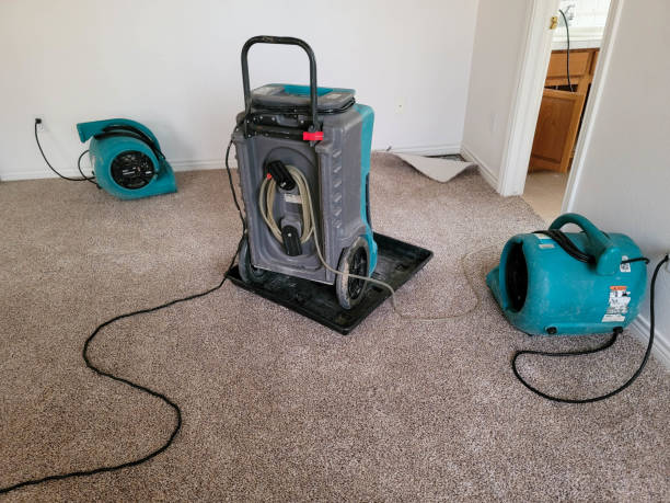 Best Water damage restoration cost  in Clarendon Hls, IL