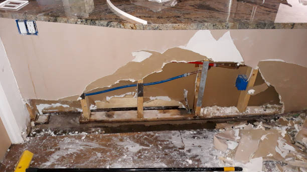 Best Water damage contractors near me  in Clarendon Hls, IL