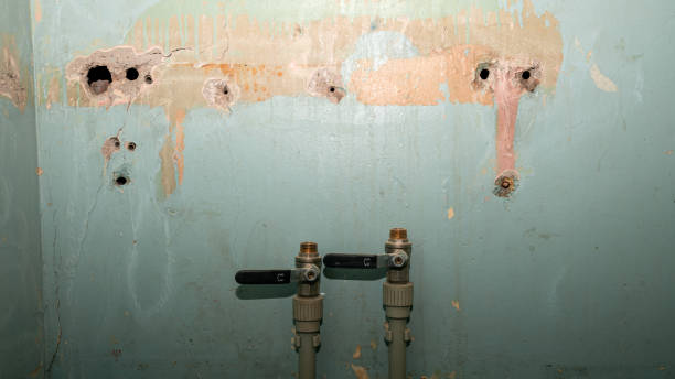 Best Flood damage cleanup  in Clarendon Hls, IL