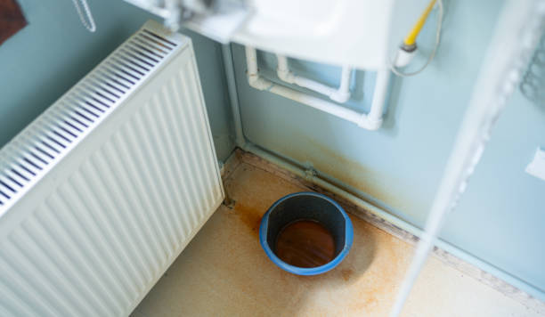 Best Water damage contractors near me  in Clarendon Hls, IL
