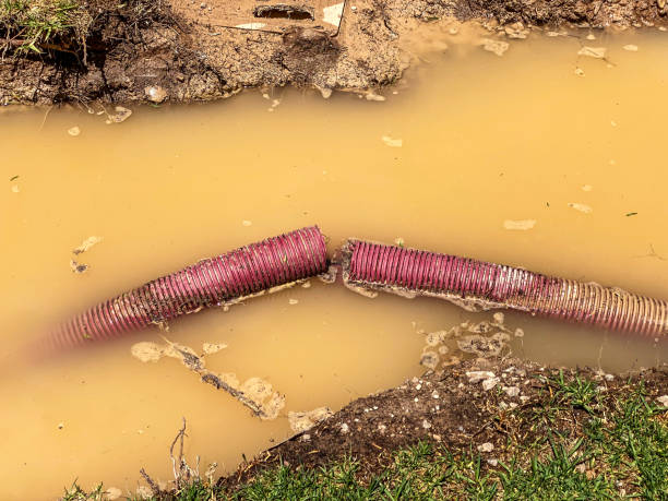 Best Water damage restoration near me  in Clarendon Hls, IL