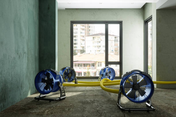 Water damage restoration mold remediation in Clarendon Hills, IL