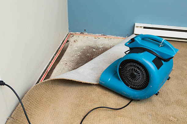 Carpet water damage restoration in Clarendon Hills, IL